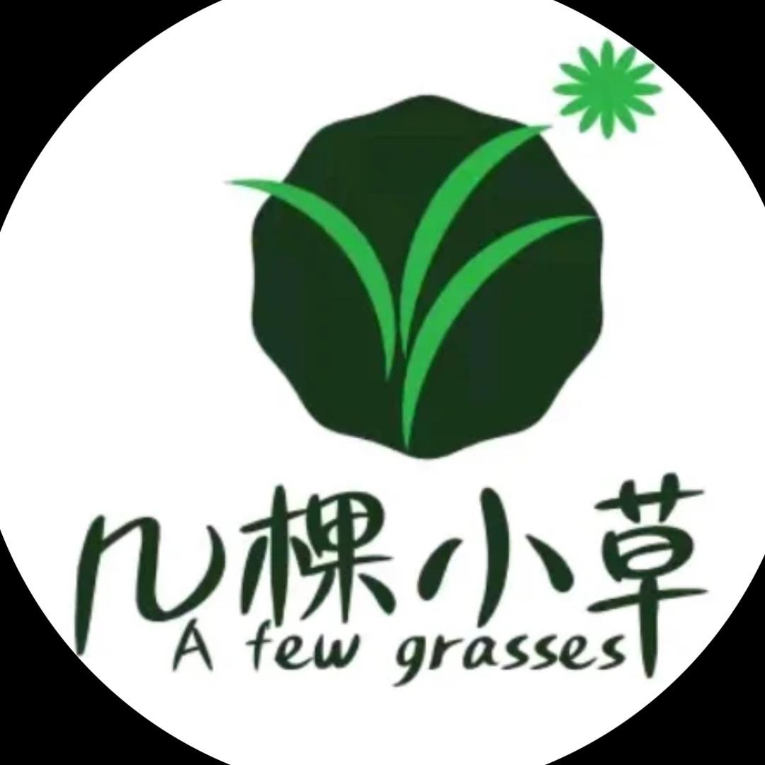 杭州几颗小草会记-祖庆