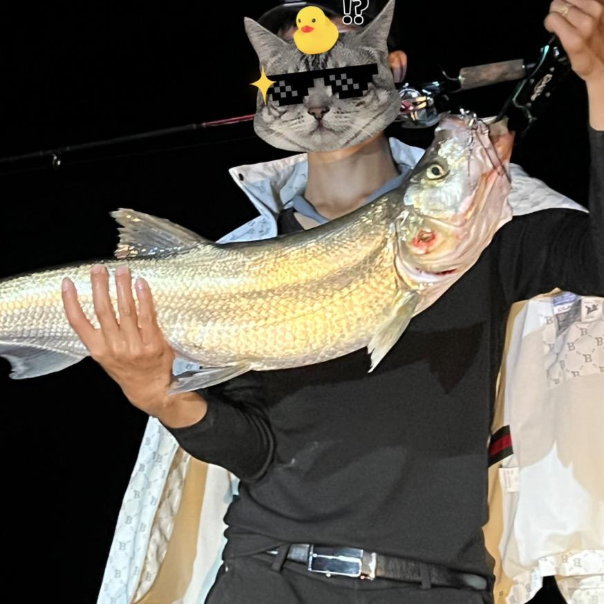 电力施工打龟选手🎣