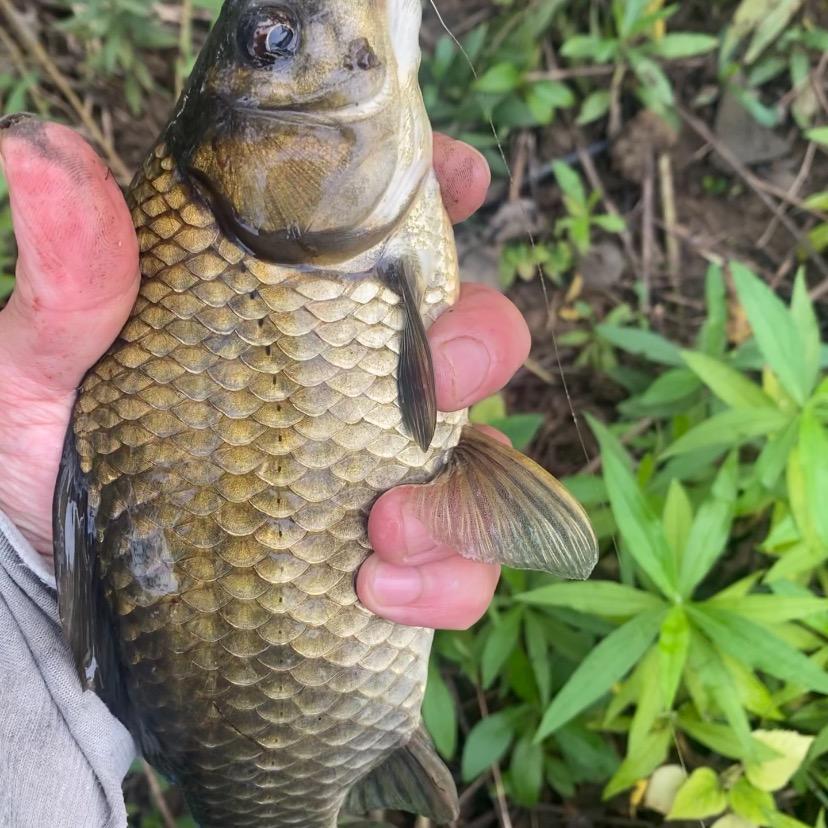 🚬勿忘🎣初心🉐🇨🇳