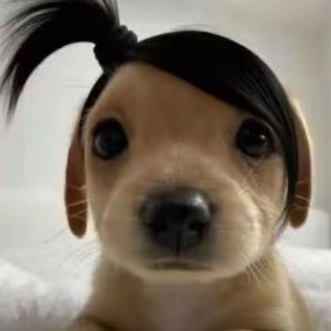 火锅