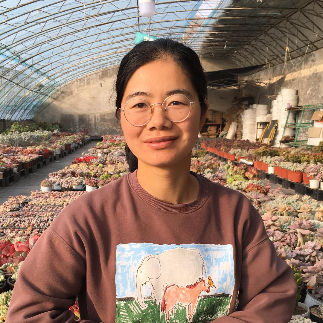 孙小猪多肉