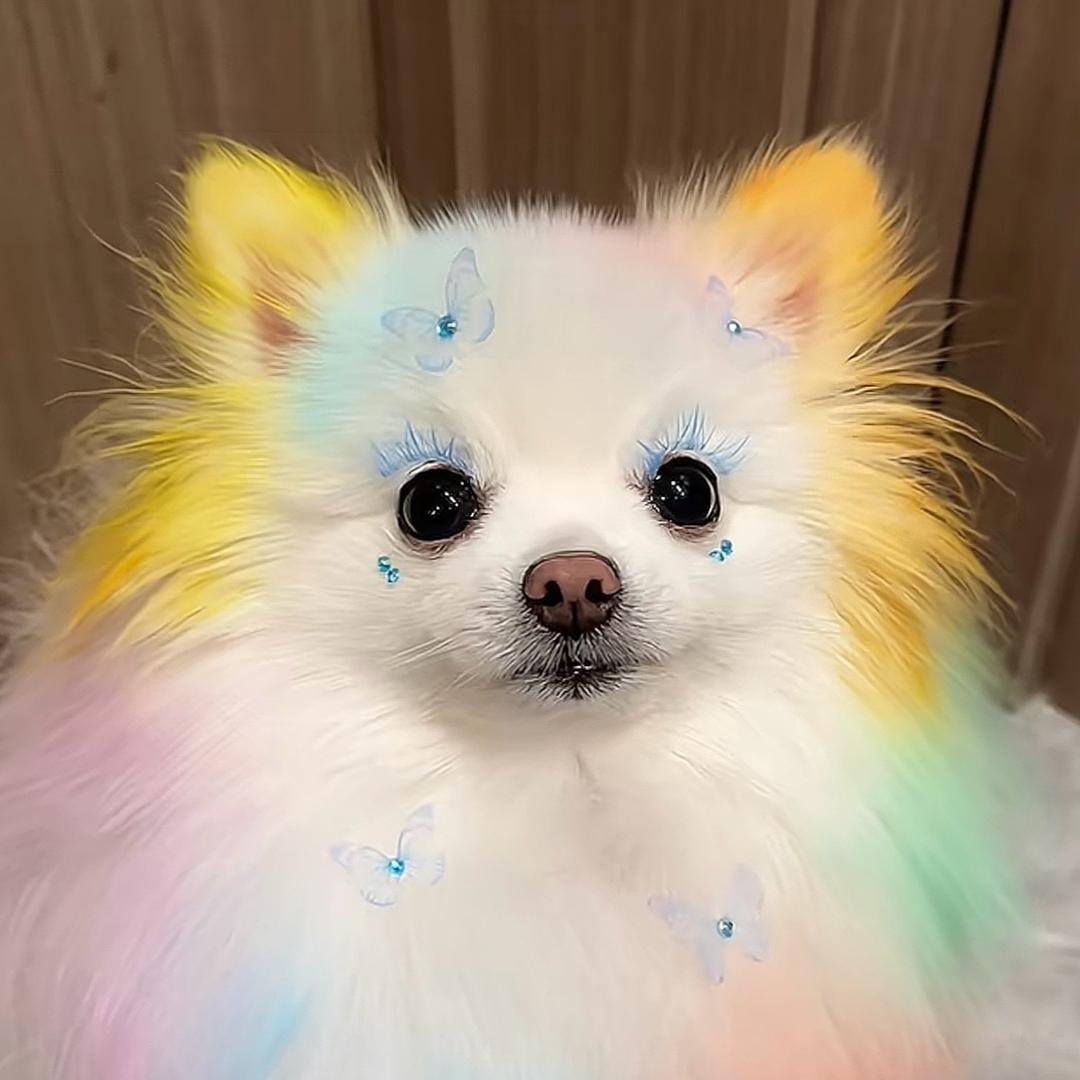 慢漫