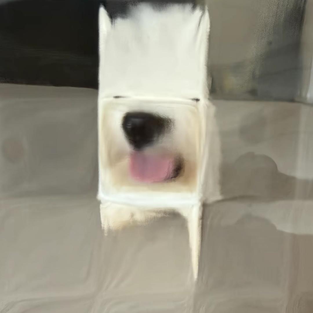 我记得我给过你脸了吧
