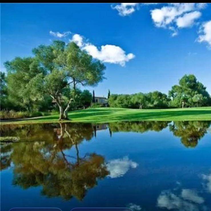 飞扬风景
