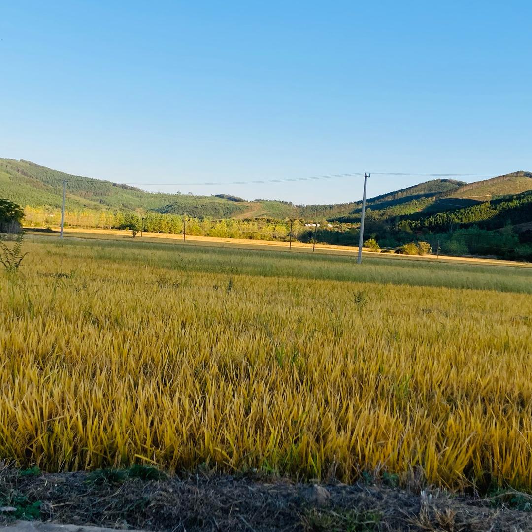 男人至死是少年