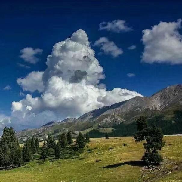 巅峰