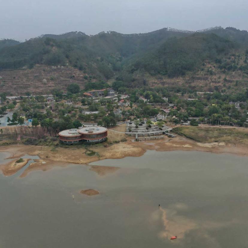 大山大金鱼🐟