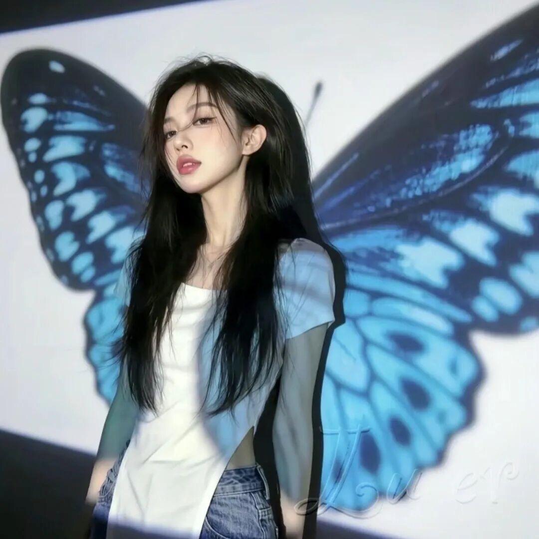 🦋·