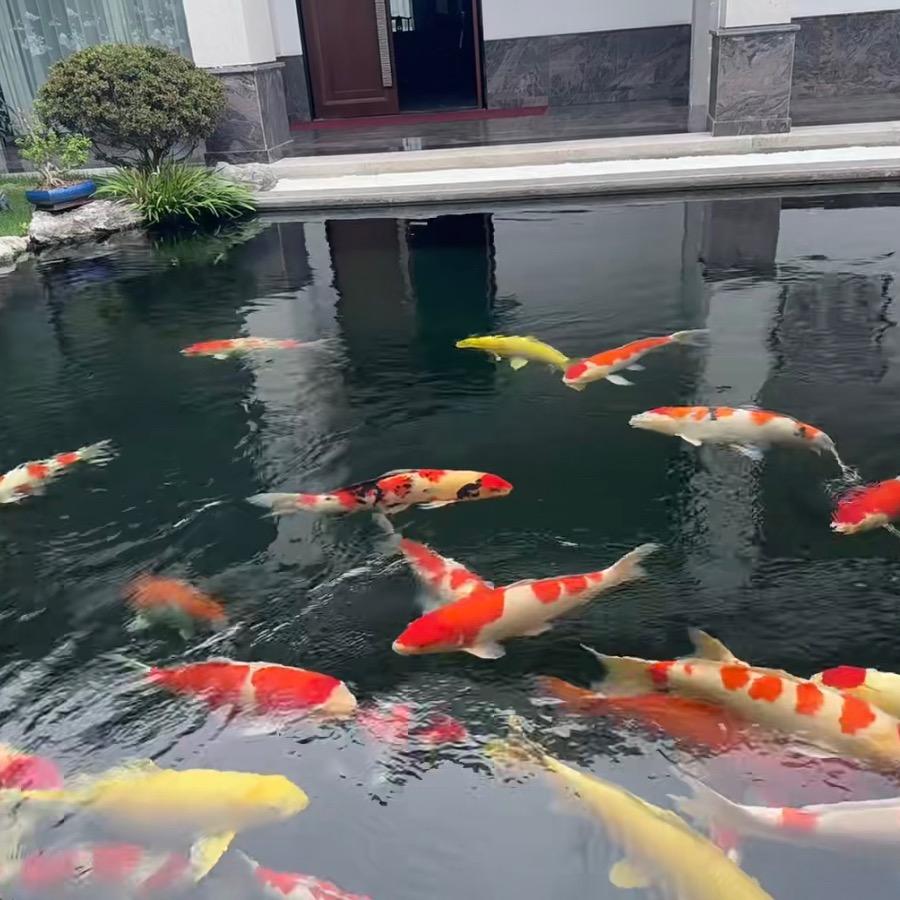 诸事皆顺666