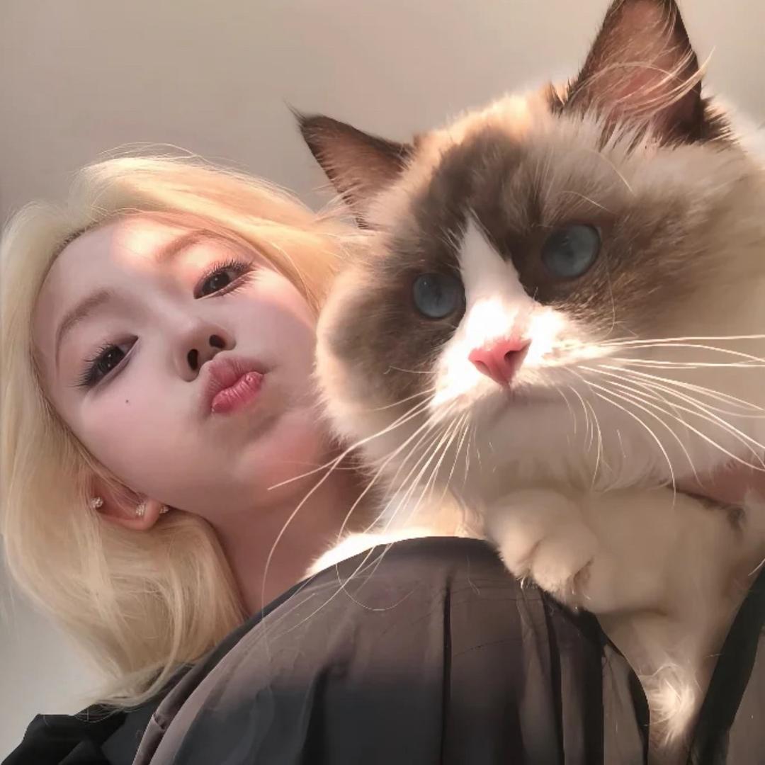 Hui