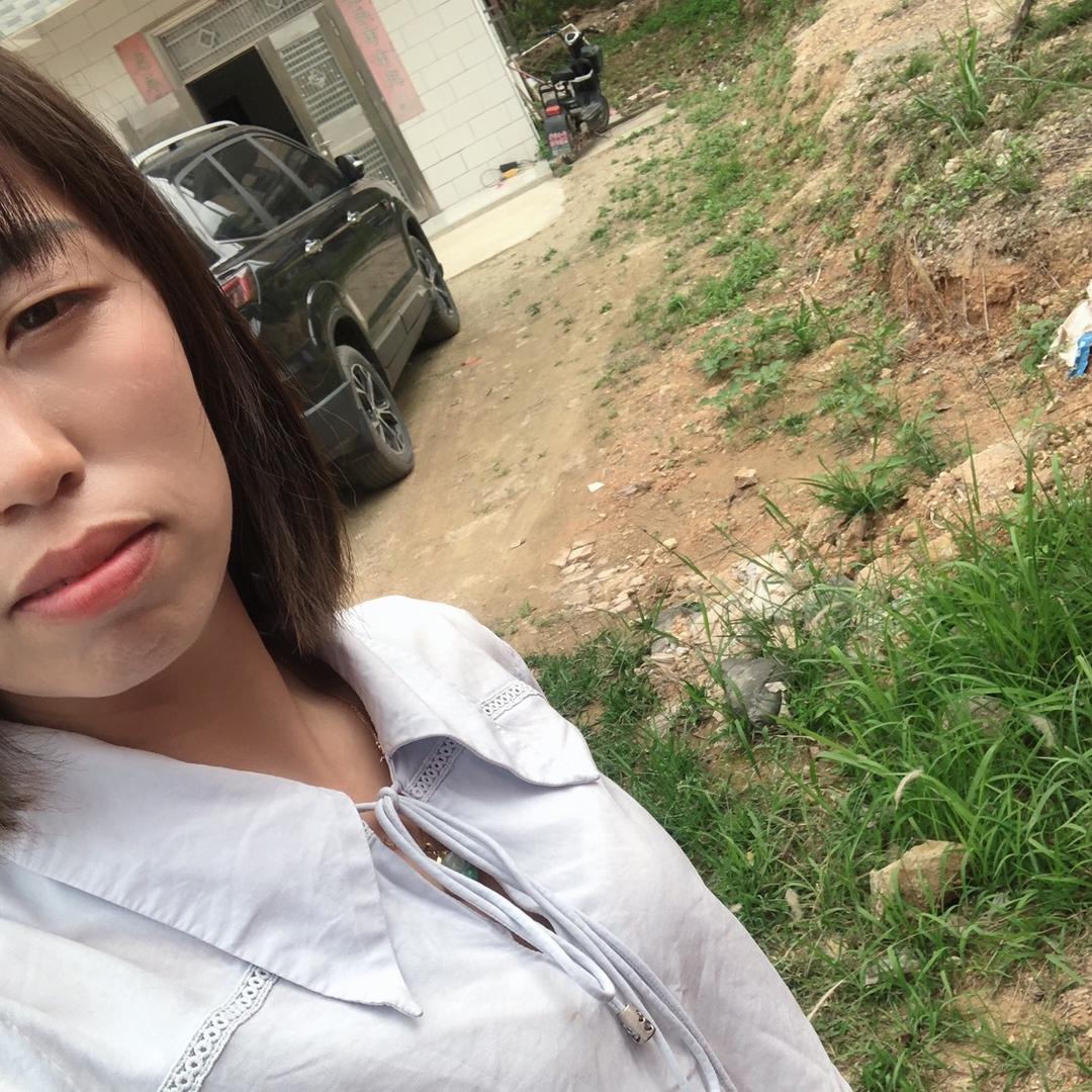 蝶兰
