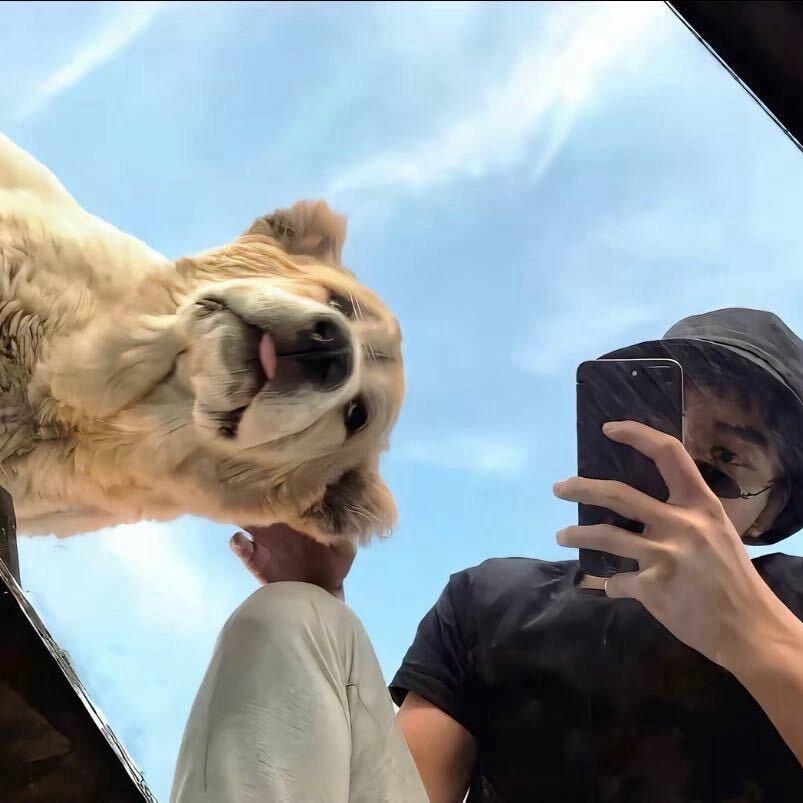 yy