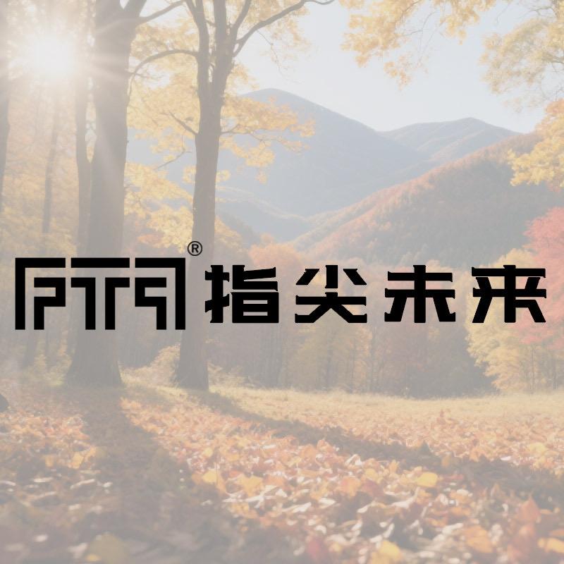 指尖未来汽车用品旗舰店