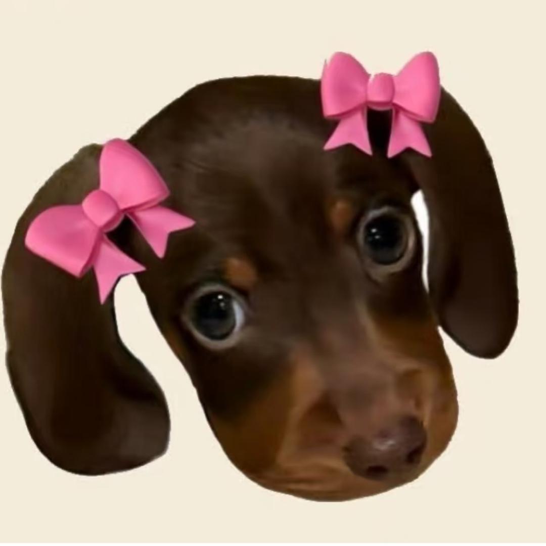 快乐幸运无敌美少女