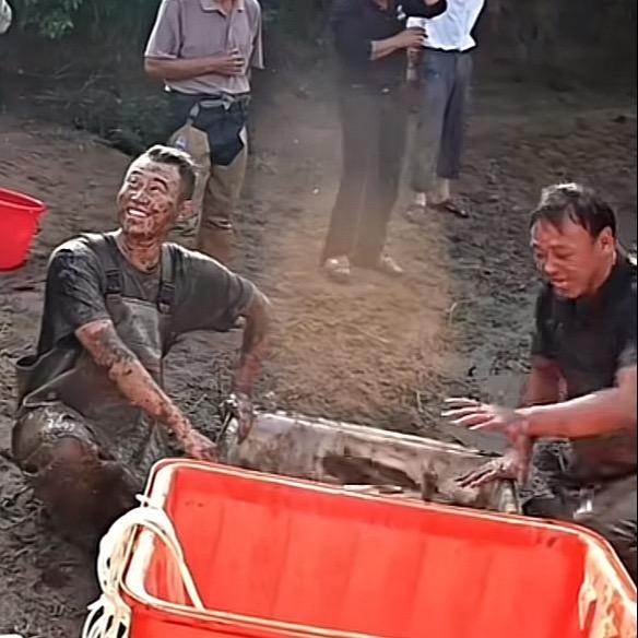 大表哥抓鱼（助理号）张飞