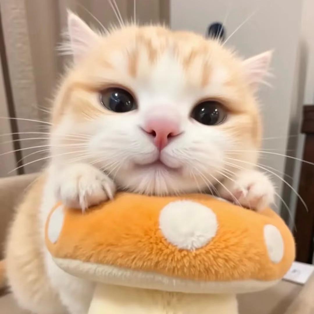 我不是别踩我鞋！