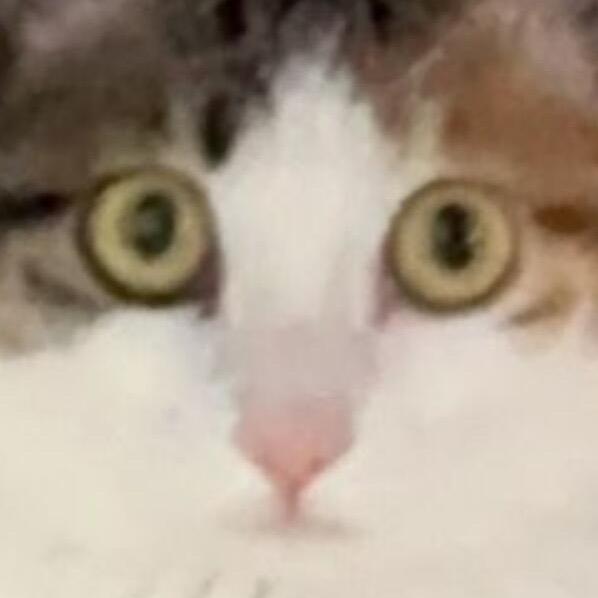 时光