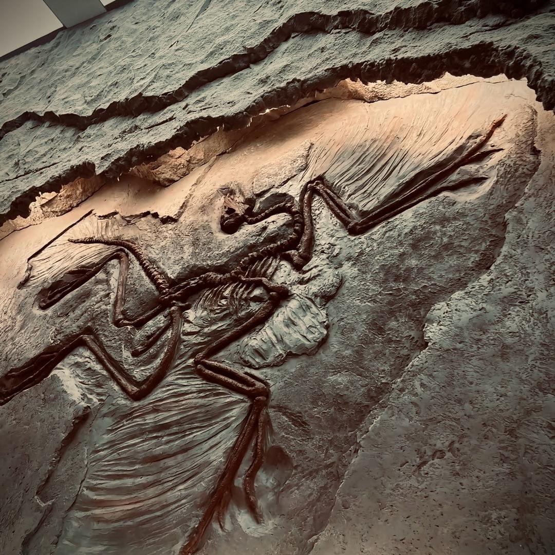 ࿐ དགྲ་ལྷ།🙏🏿