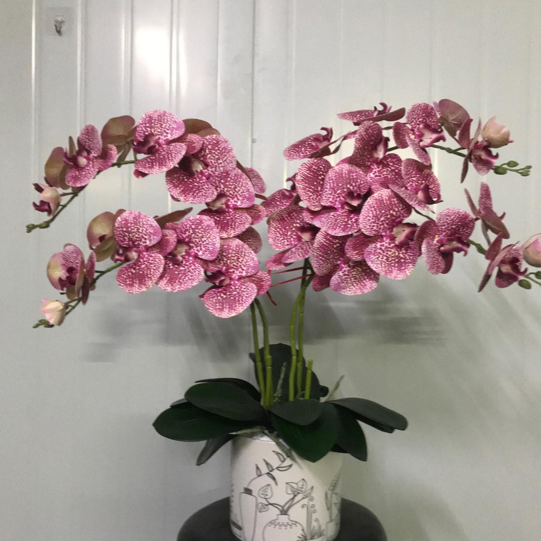 义发花盆