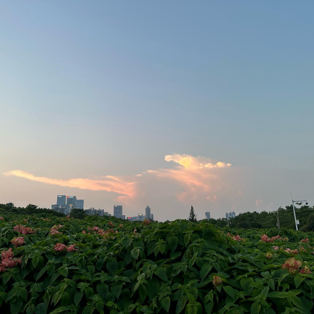 冉冉的旅居日记
