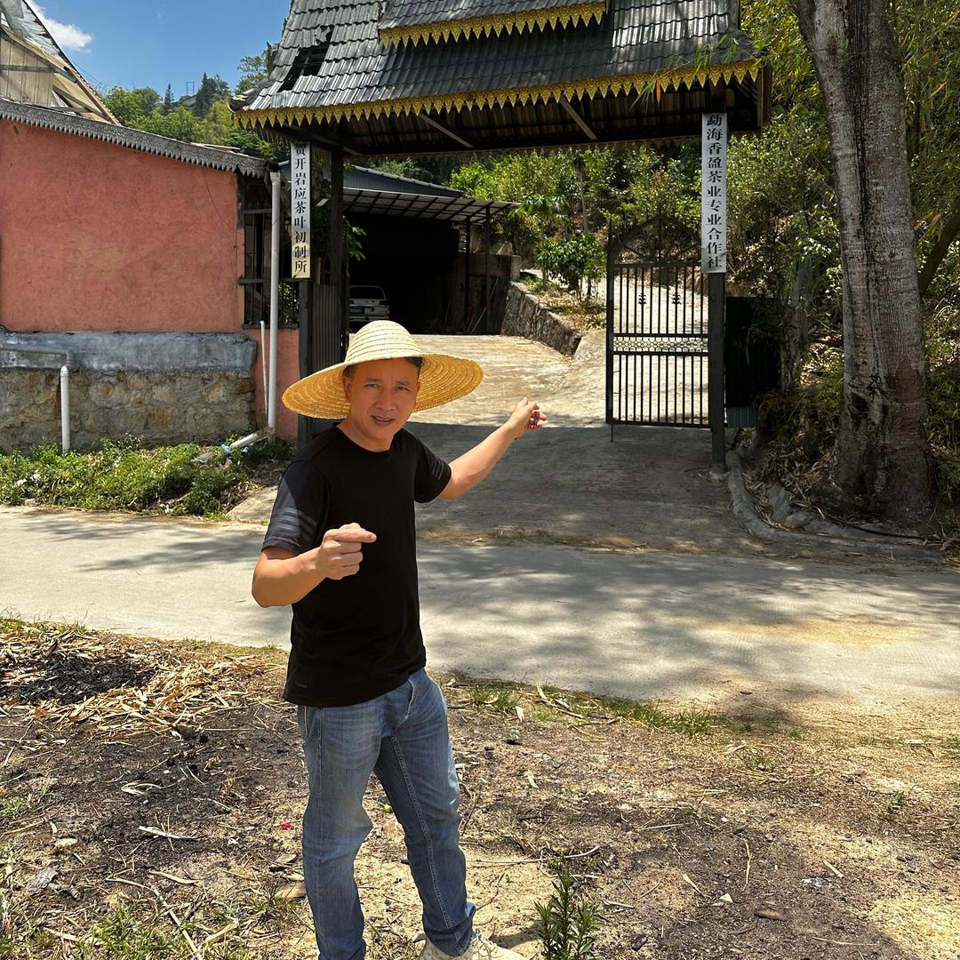 勐海云南盈丹茶坊