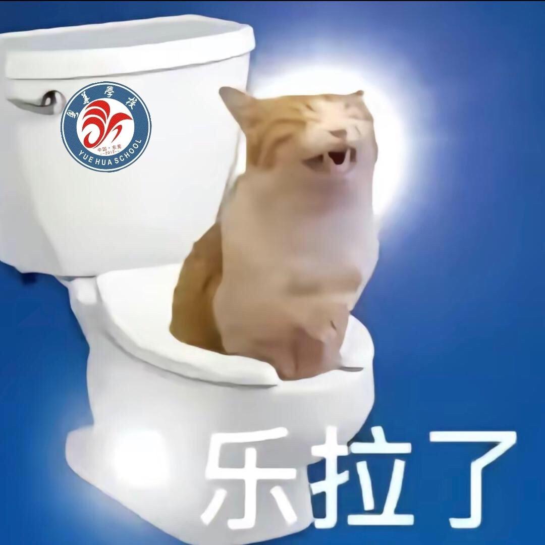 5000亿杨少