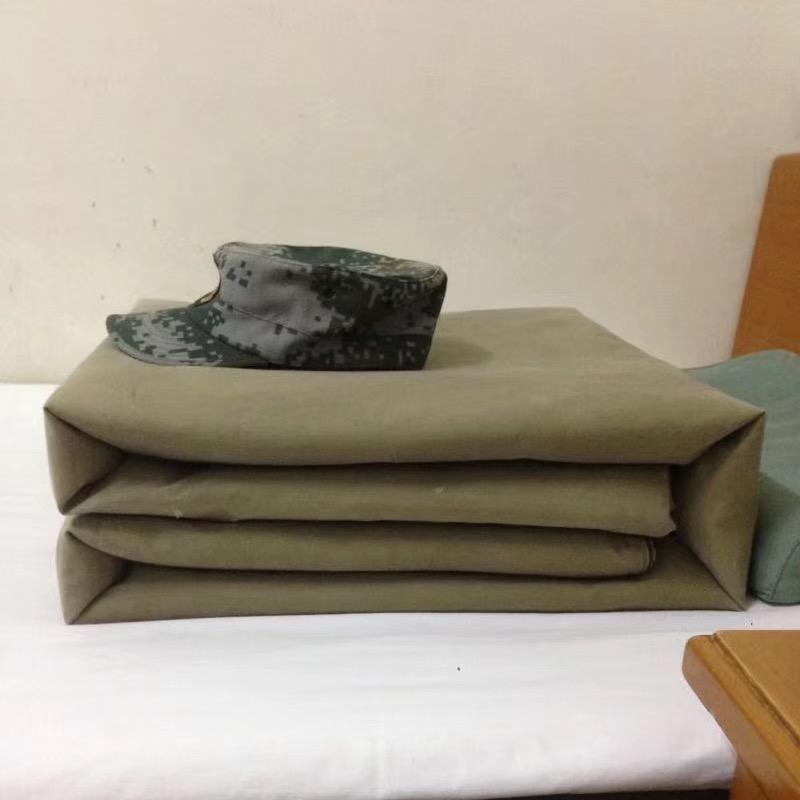 能量鱼🐟