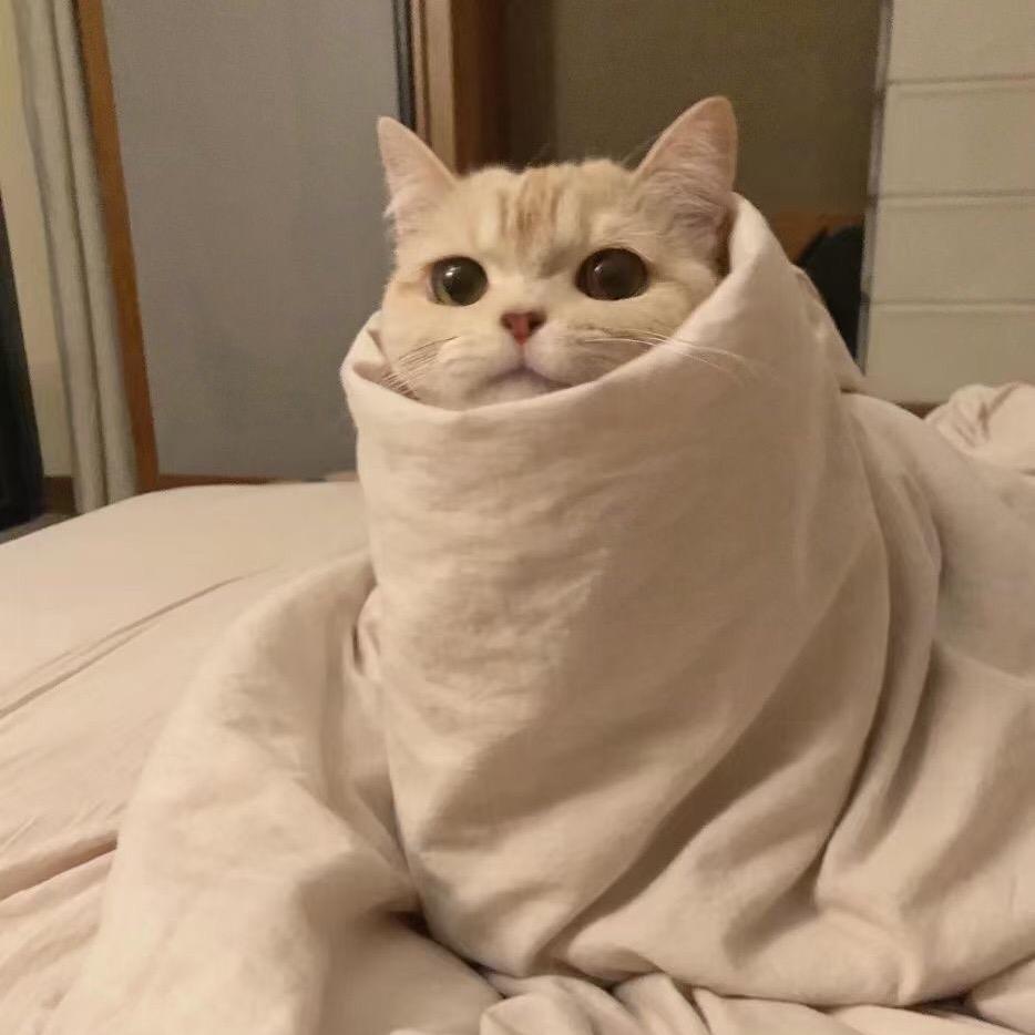 🧙🏻‍♀️…