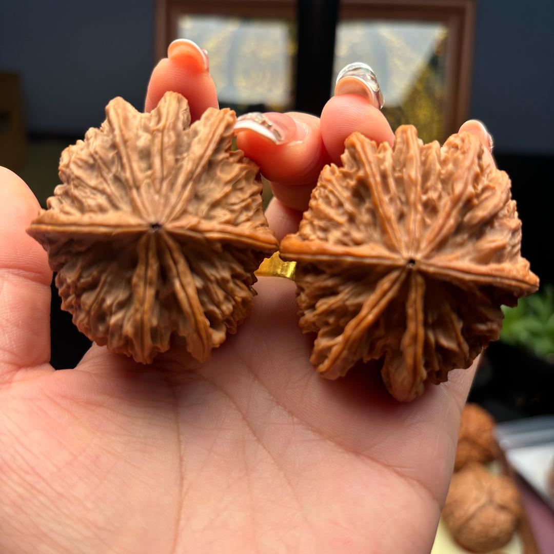 姐妹💕异形文玩