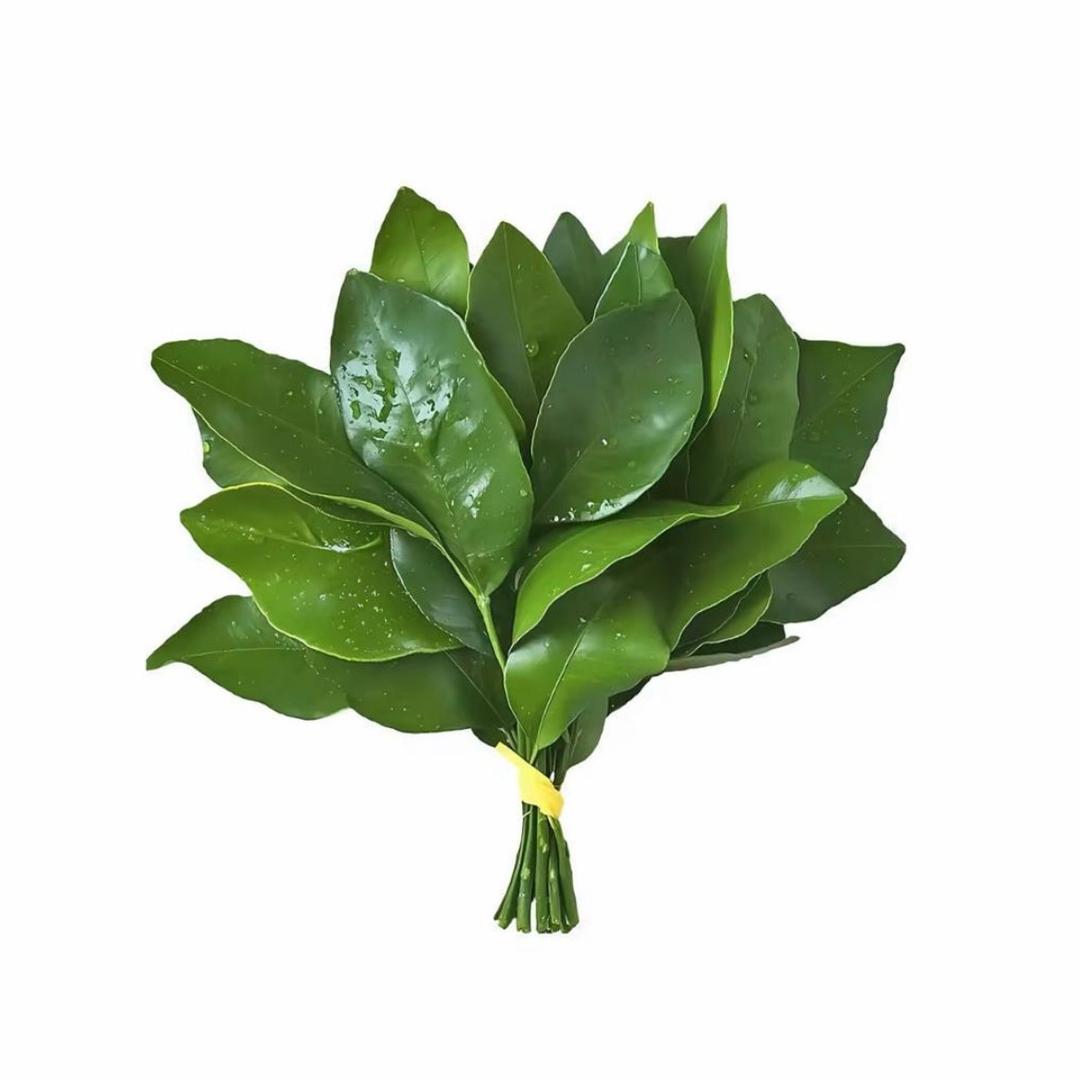 我有八个大妮蔻