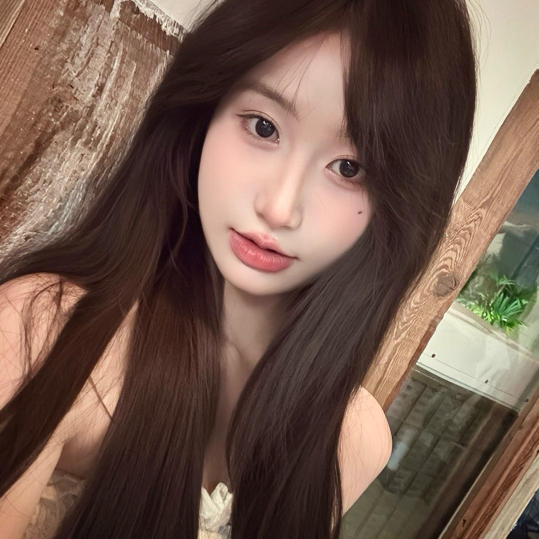 新新