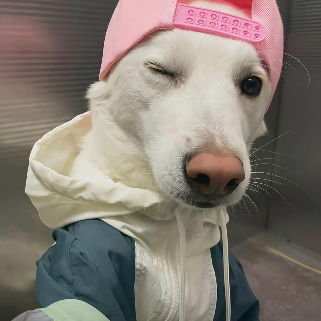 不懂女人心