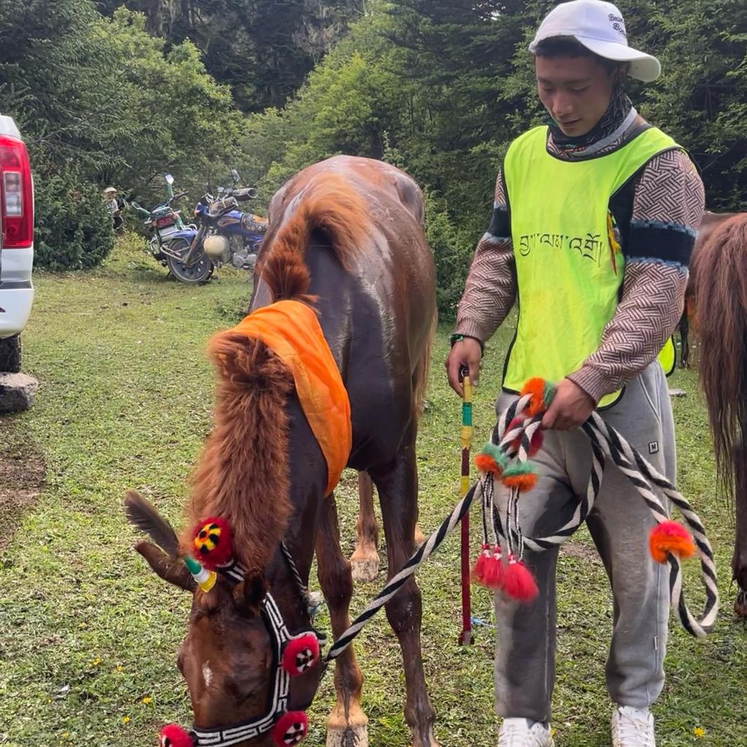 ⚜️意难平⚜️丹少💫