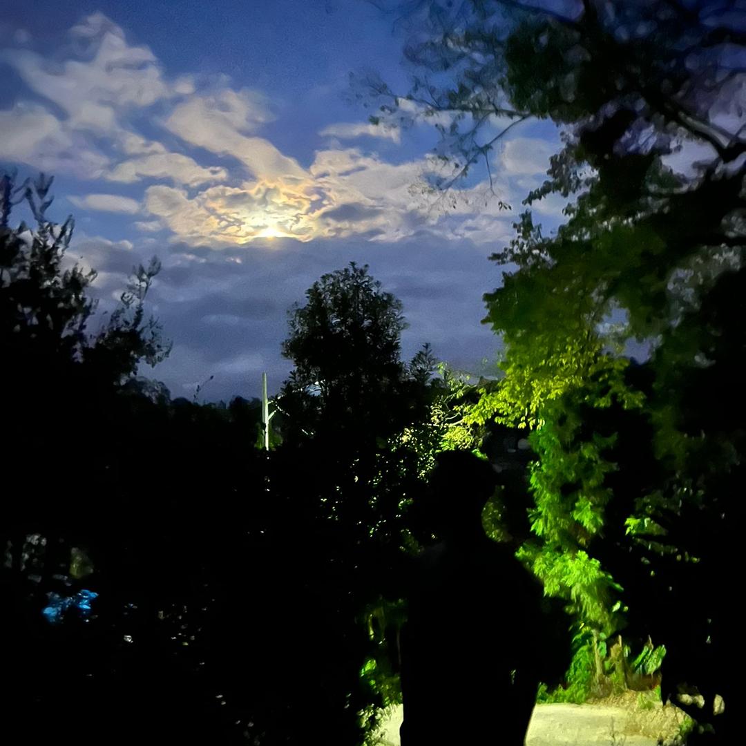 今夜沦陷.