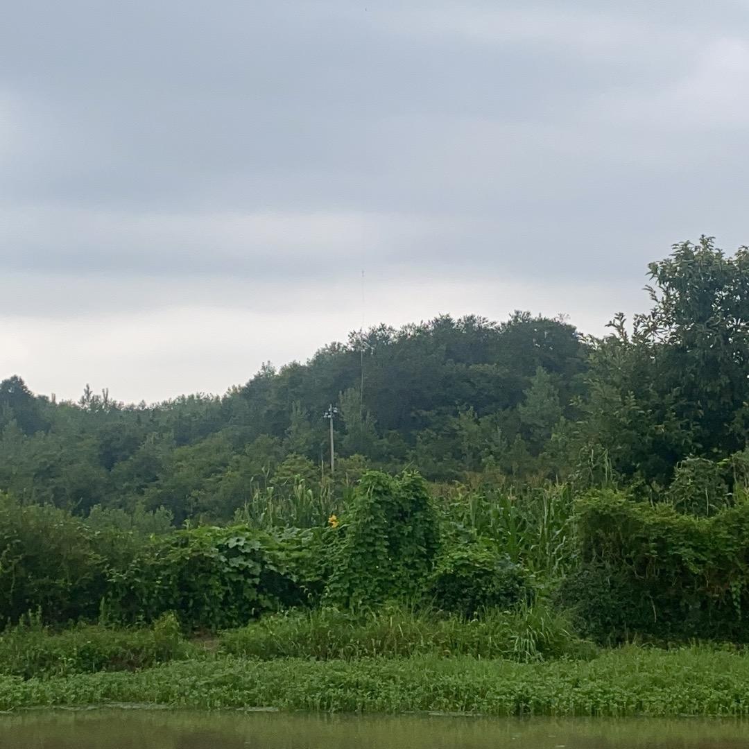 蓝天