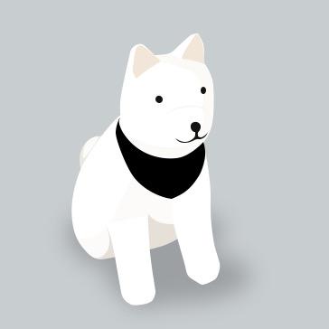 柴犬老丸子