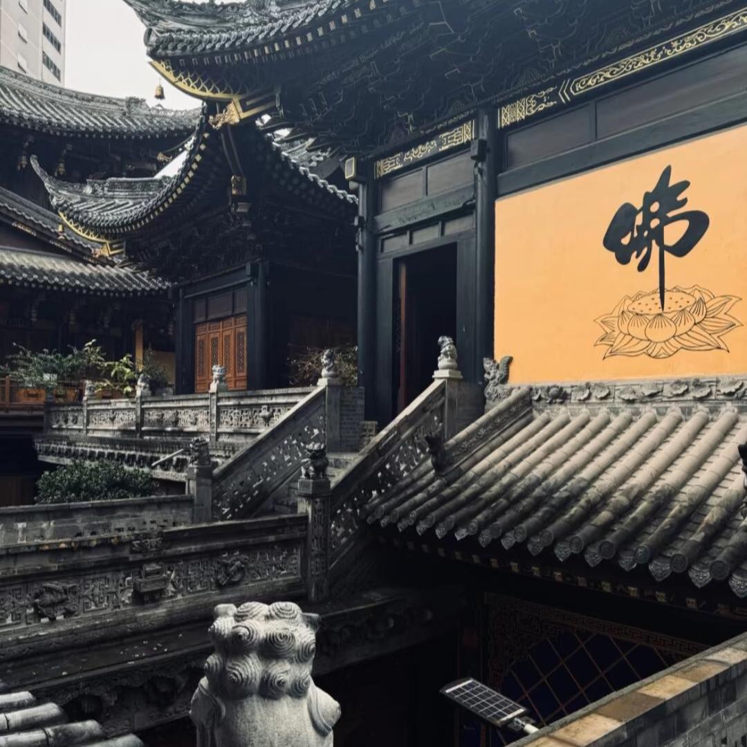 ￴ ￴ 上善若水