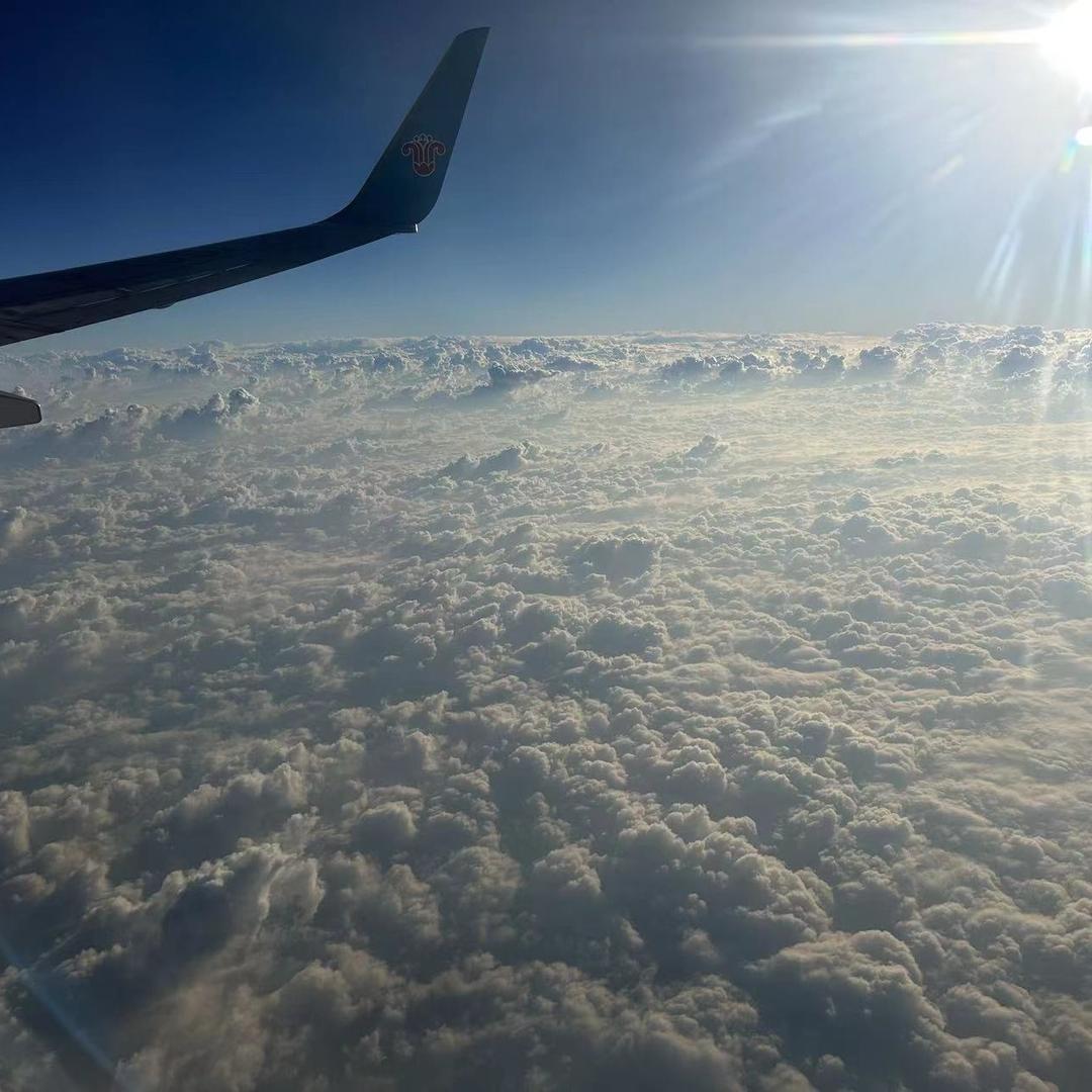 岩林旅行家