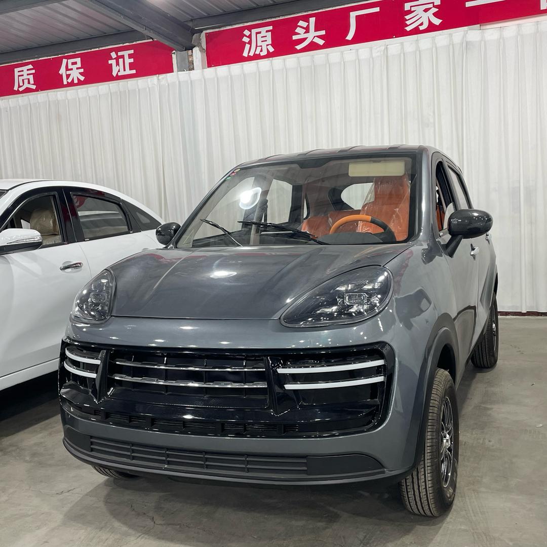 稳安新能源低速电动车销售王经理