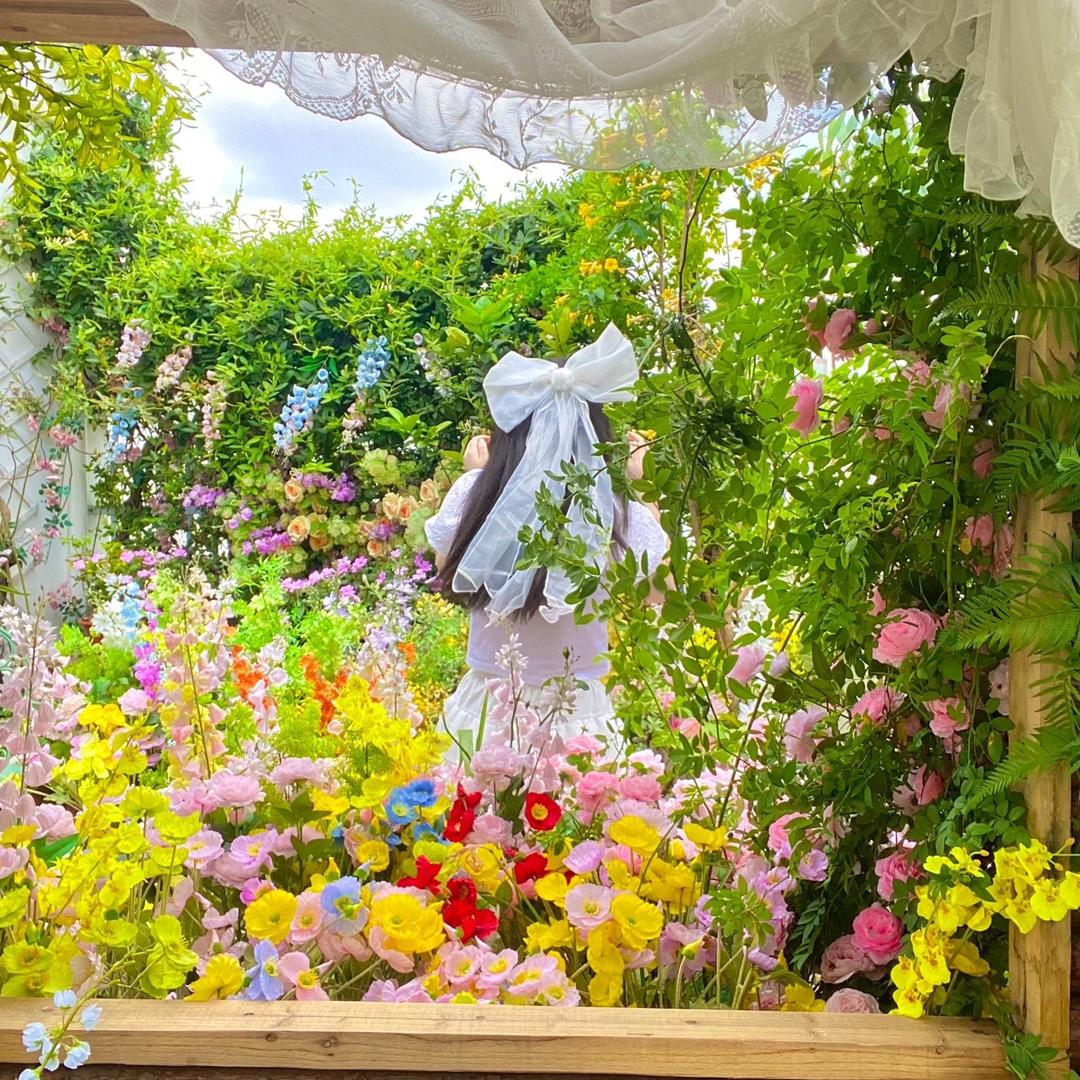 啊瑶的梦境🌷💭