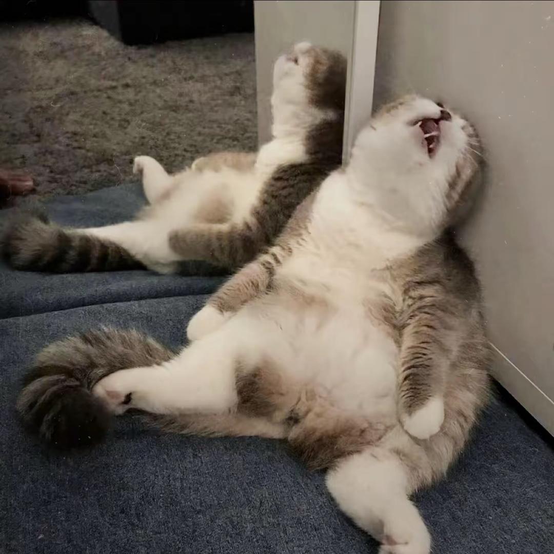 闹闹