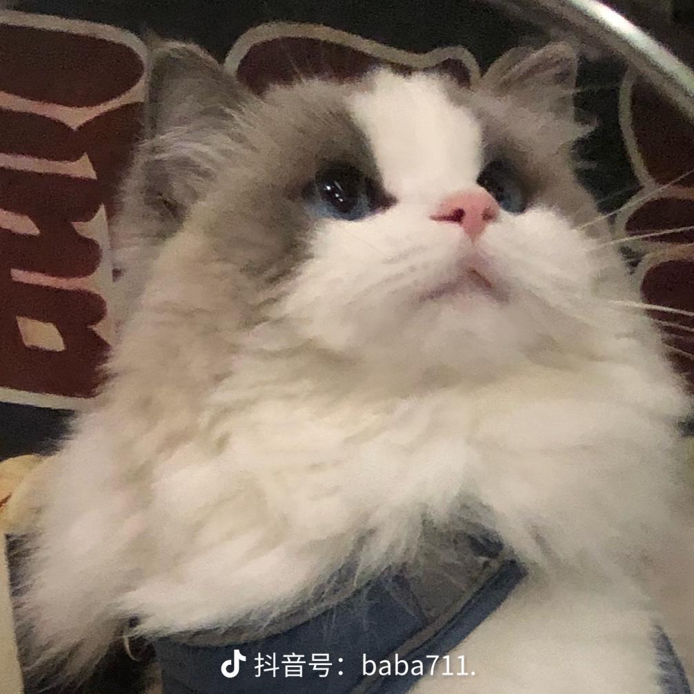 当爱己成往事