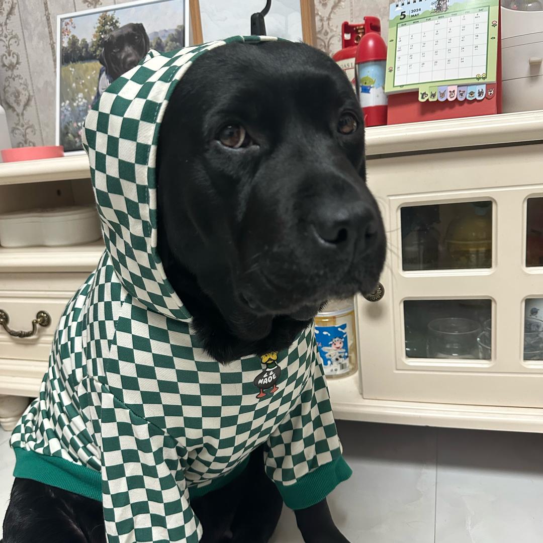 黑憨憨🐾妞妞