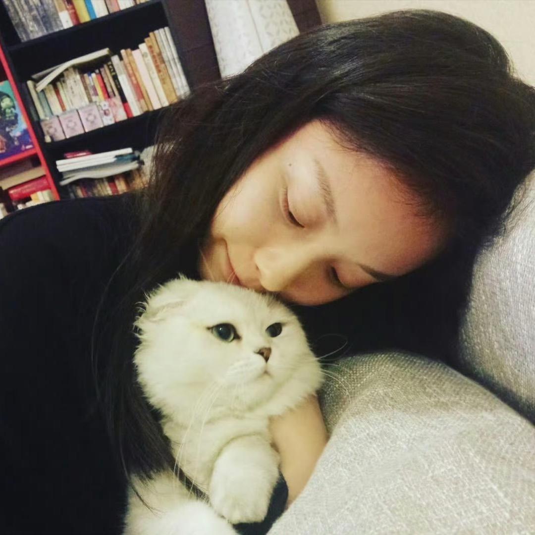 TvT