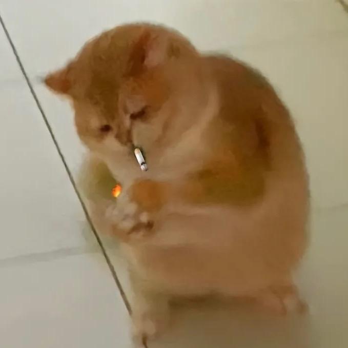 妄想卓玛