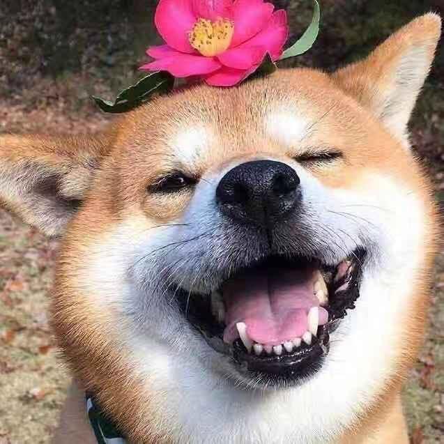 咻咻 咻咻咻