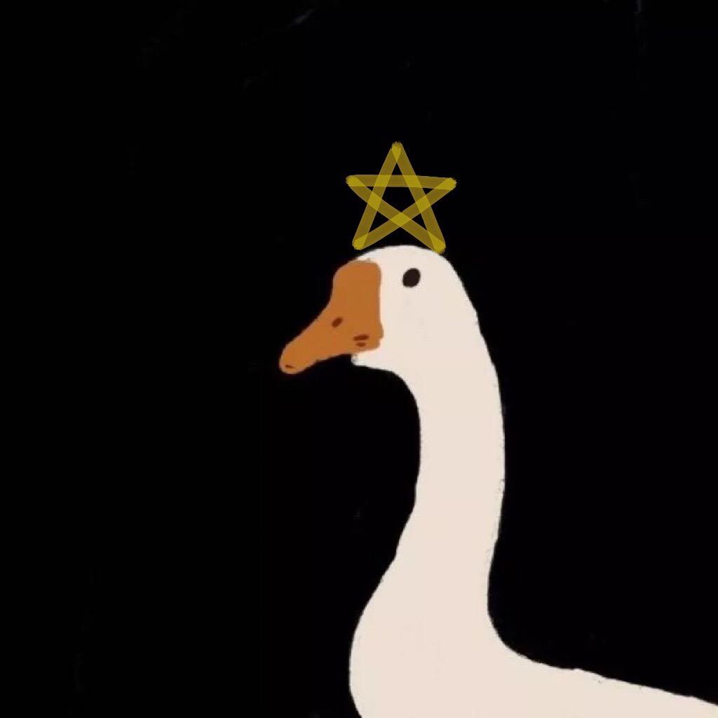 圈圈圆圆圈圈。