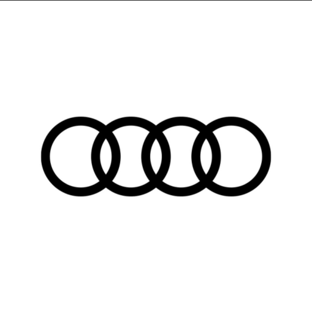 一汽奥迪新能源-蚌埠安迪