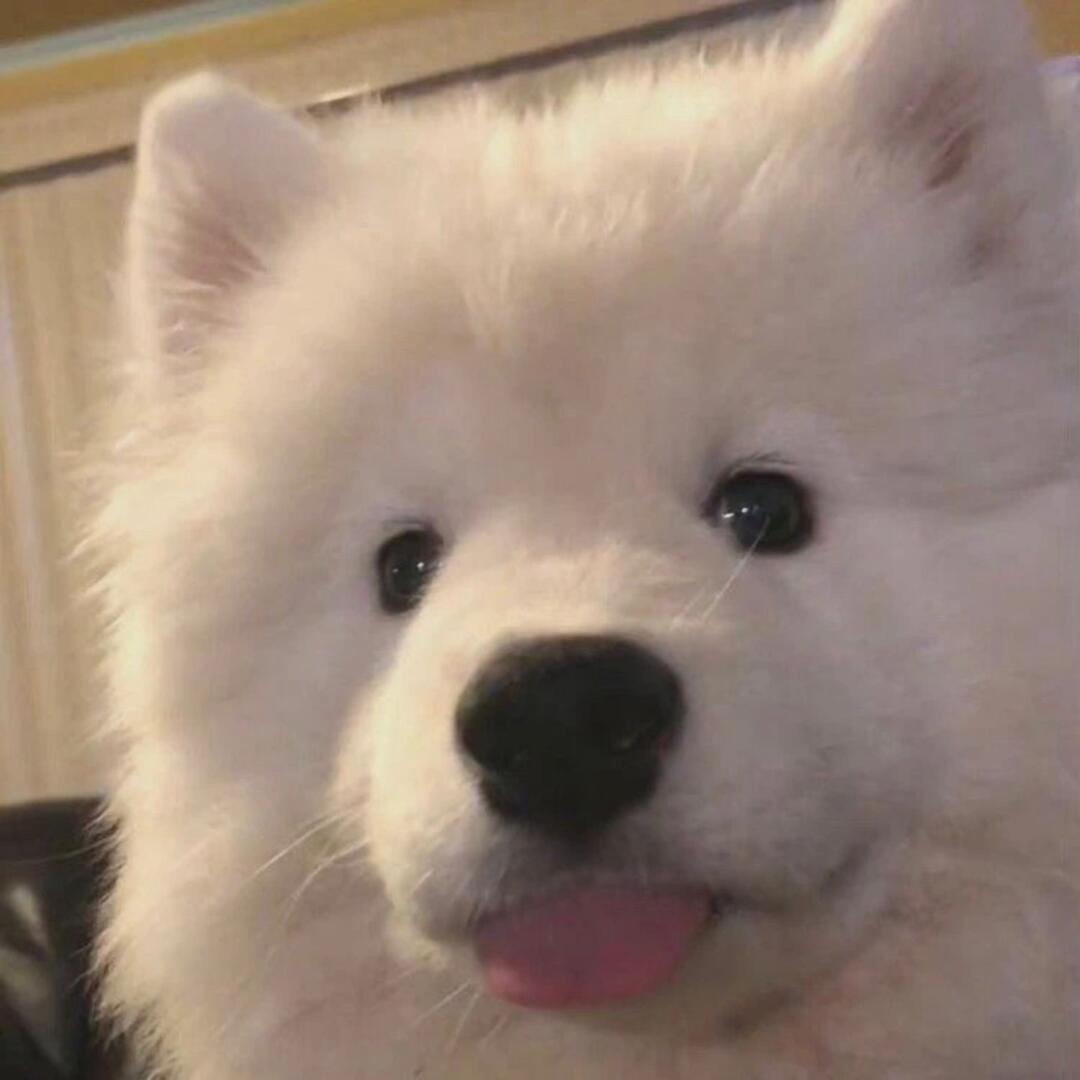 欲温（无畏契约手游）