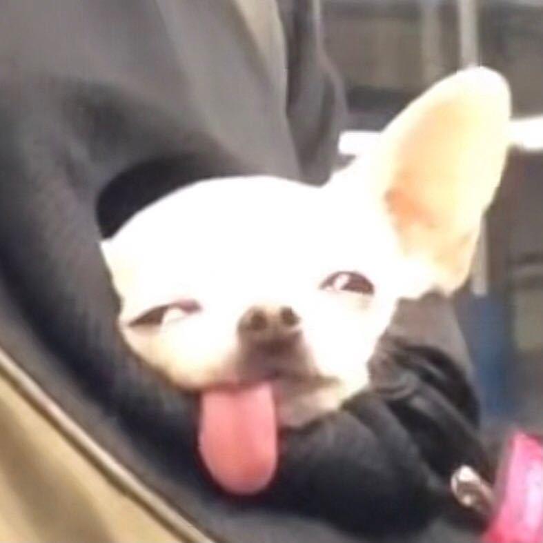 曲青缇🍇